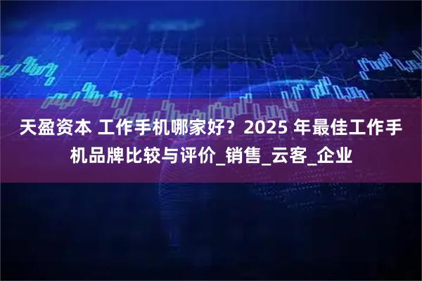 天盈资本 工作手机哪家好？2025 年最佳工作手机品牌比较与评价_销售_云客_企业