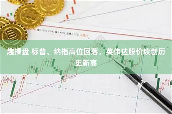 趣操盘 标普、纳指高位回落，英伟达股价续创历史新高