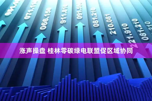 涨声操盘 桂林零碳绿电联盟促区域协同