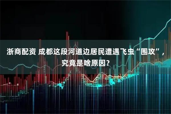 浙商配资 成都这段河道边居民遭遇飞虫“围攻”，究竟是啥原因？