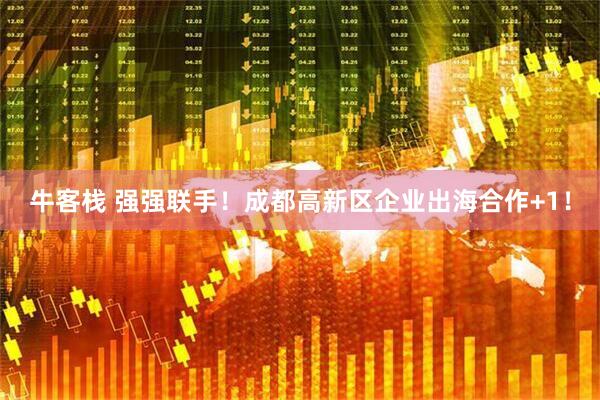 牛客栈 强强联手！成都高新区企业出海合作+1！