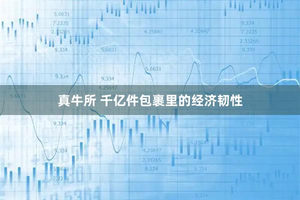 真牛所 千亿件包裹里的经济韧性